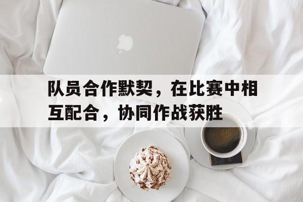 cq9电子官方入口-队员合作默契，在比赛中相互配合，协同作战获胜